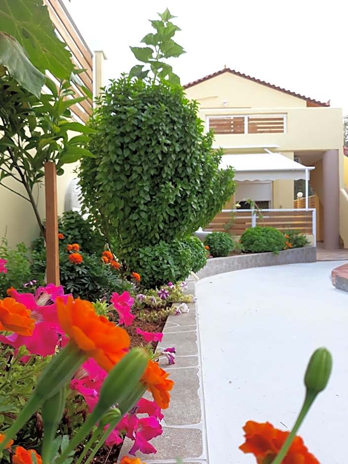 ATH Airport Suites Free Shuttle From And To Athens Airport