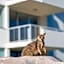 Grand Mercure Apartments Magnetic Island