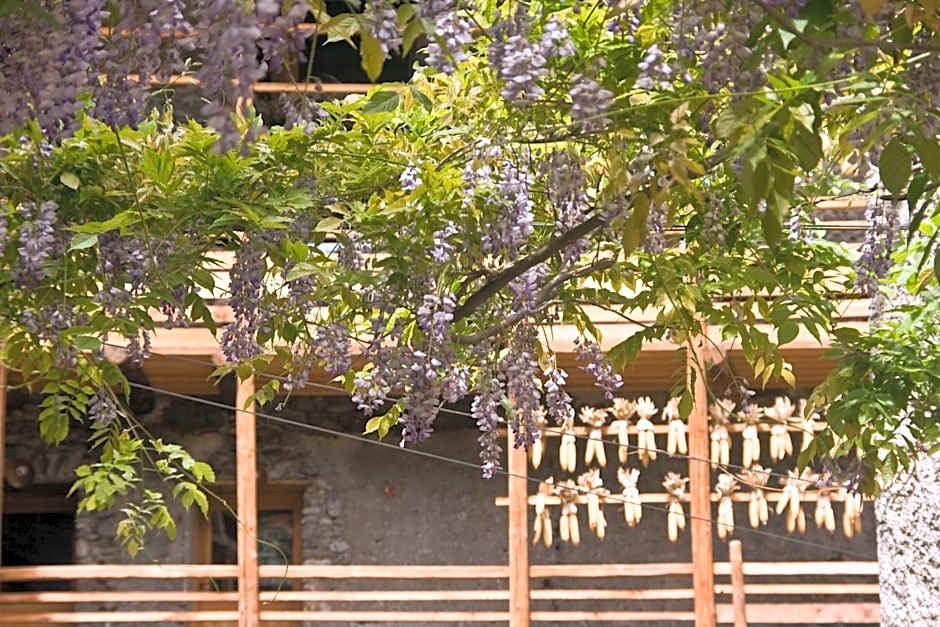 Contrada Beltramelli