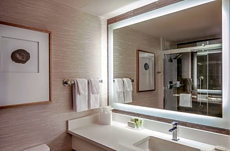 1 King Guestroom