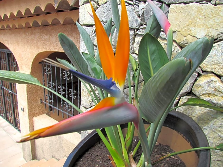 Le Petit Coin de Paradis