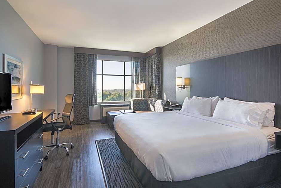 Holiday Inn & Suites Silicon Valley - Milpitas by IHG