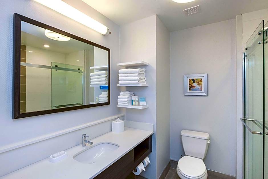 Photo 1 of 3 of 1 King Bed with Sofabed, Mobility Accessible, Bathtub