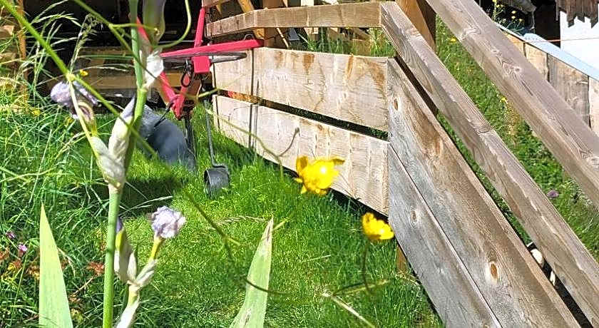 AU SOMMET DES NARCISSES