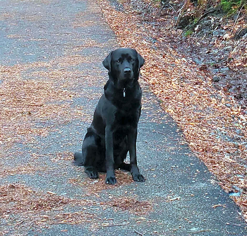 The Four Seasons Hotel