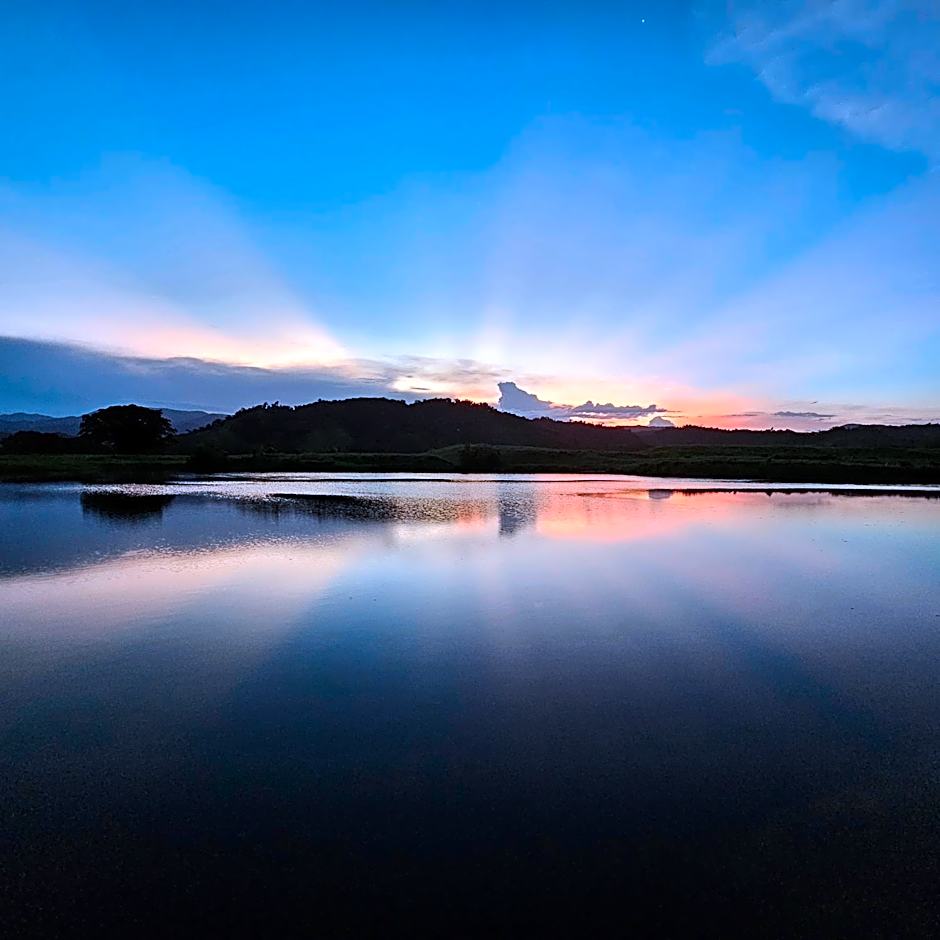 Daintree Riverview Lodges