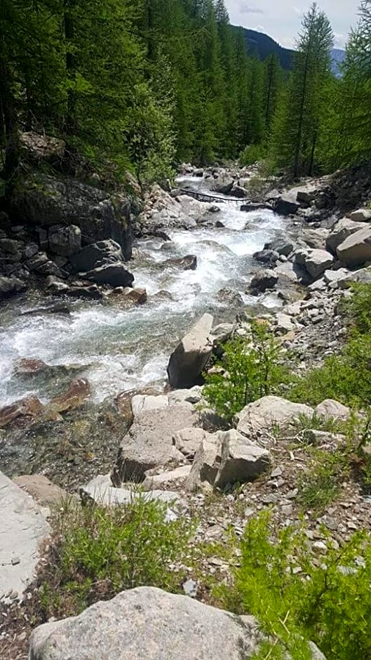 Les marmottes d Estenc