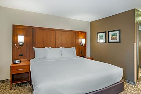 King Room - Non-Smoking/Pet Friendly