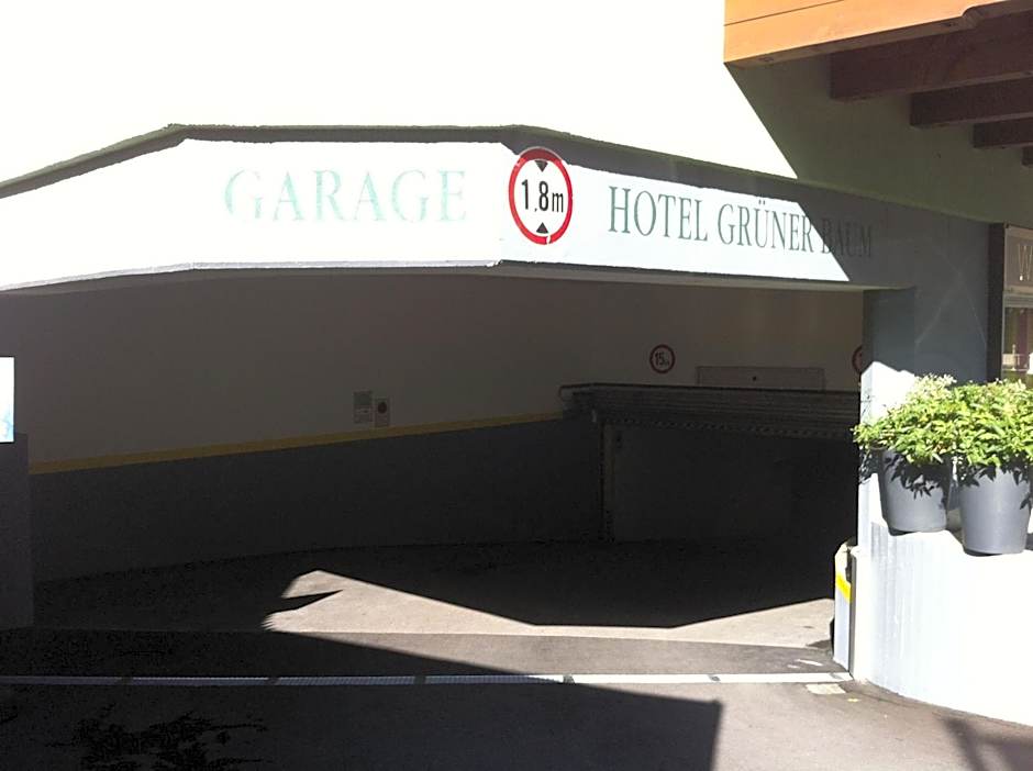 Hotel Grüner Baum