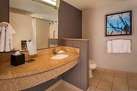 Studio Suite, 1 Bedroom (Mobility/Hearing Accessible, Tub) (1 King Bed and 1 Double Sofa Bed)