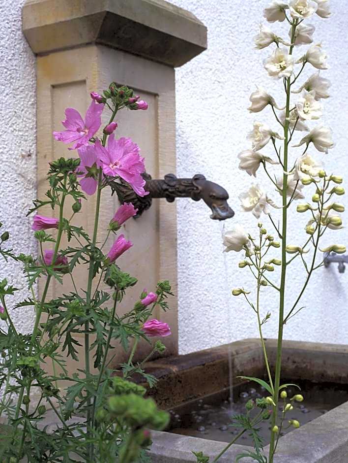 Das Gut klein Bollhagen