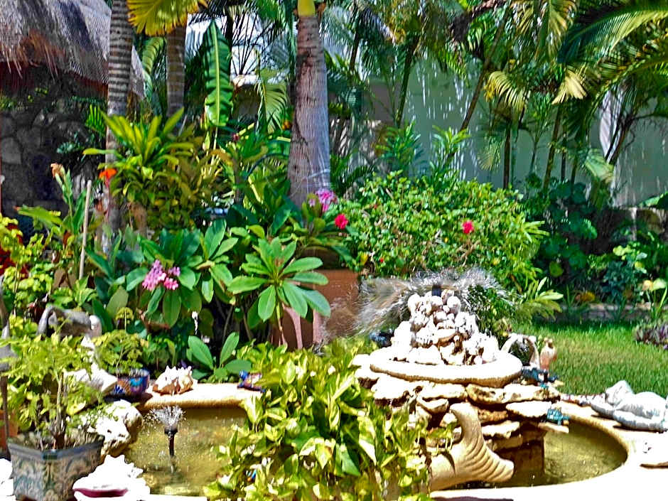 Casa Gatos