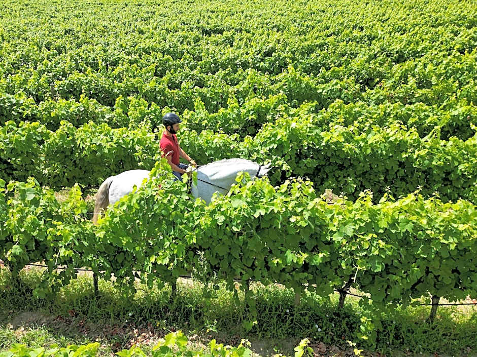Madre de Água Hotel Rural de Charme