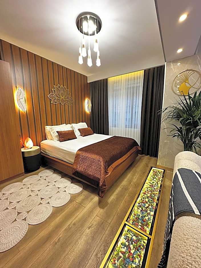 SABİHA GOKCEN İSTANBUL HOUSES Airport