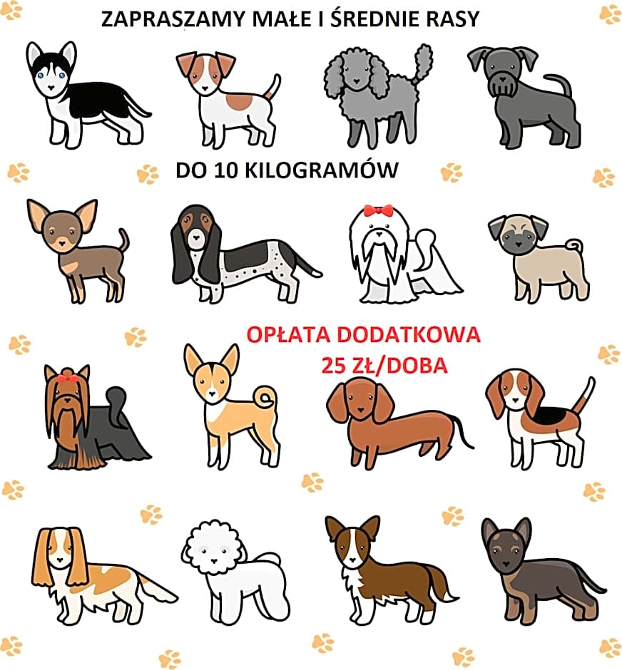 APARTAMENTY PIASKOWE BŁĘKITNA