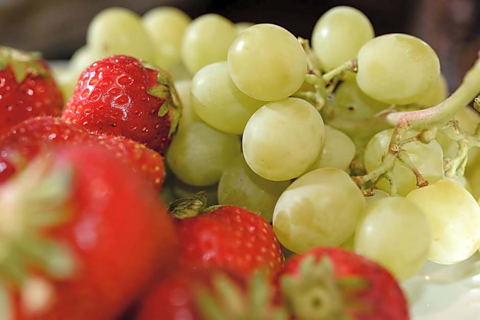 Dorfmeister Business Hotel B&B