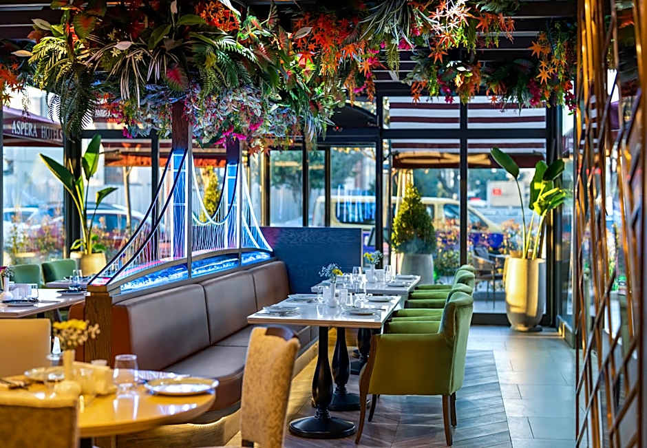 Aspera Hotel Altunizade