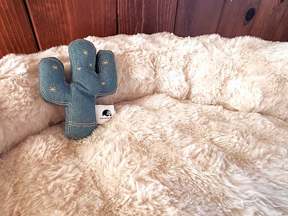 Room 3 - Downtown Joshua Tree Motel - Pet Friendly - Walk to Shops & Visitor Center, Minutes to Park Entrance