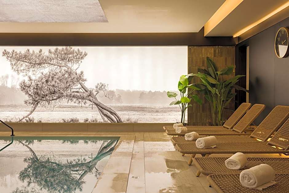 Hotel Beach Palace