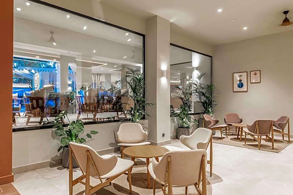 Domes Aulus Zante, Autograph Collection