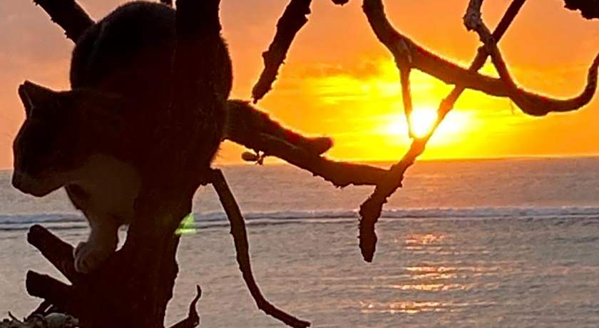 Beach Breeze and spa