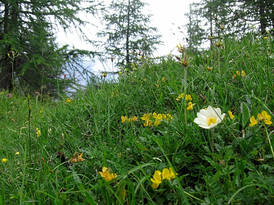 Hotel Garnì Ai Serrai