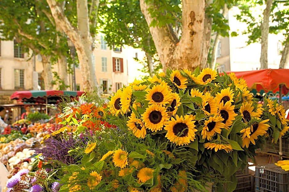 Les Jardins de Baracane