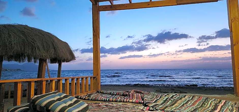 Full Moon Camp Sinai