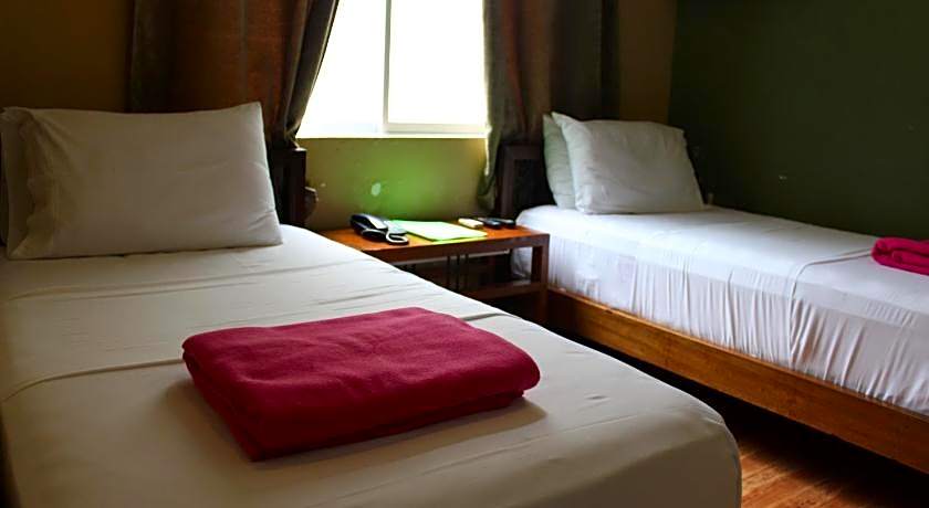 Purple Tree Bed and Breakfast