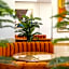 Intouriste Hôtel & Suites
