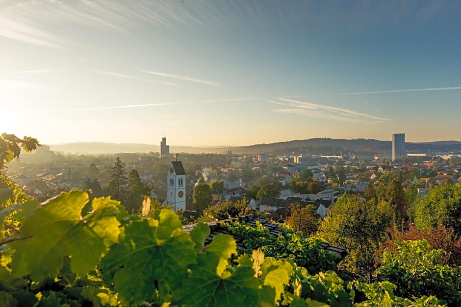 ibis Winterthur City