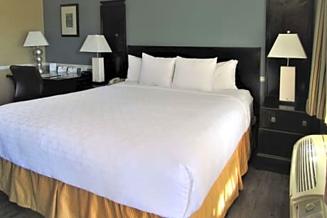 1 King Bed, Nonsmoking