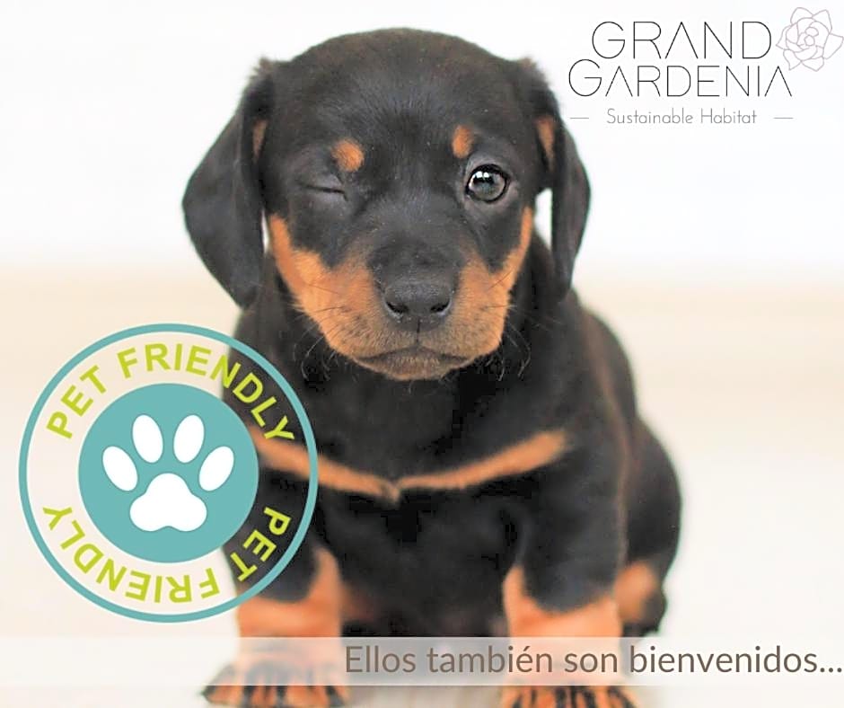 Grand Gardenia
