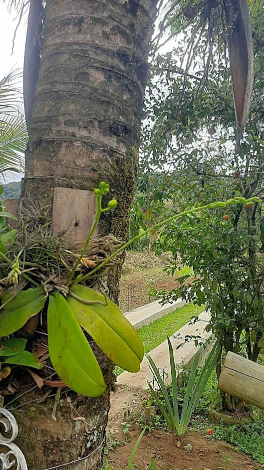 Rancho Esperança, pouso e comida a lenha