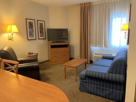 1 Bedroom Suite