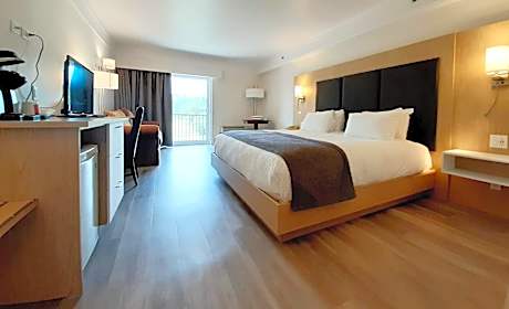 Mountain side view room with 1 King bed