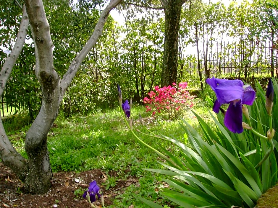 La Paloma B&B di Charme