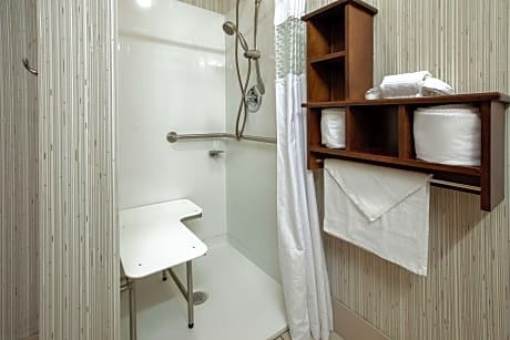 1 King Mobility Access With 3X3 Shower Nosmok