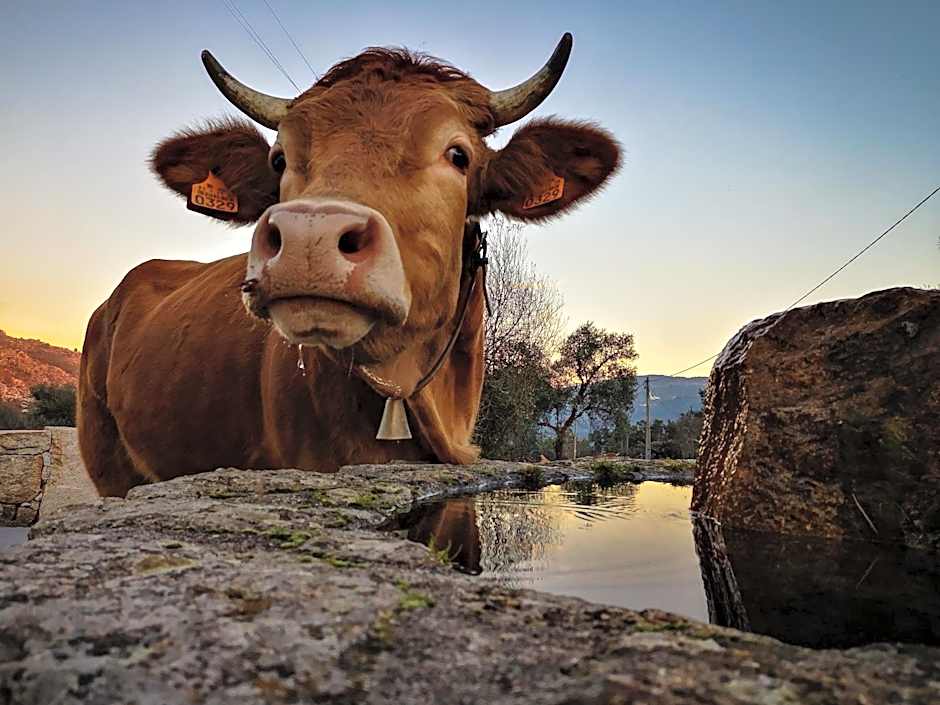 Hostel Retiro do Gerês