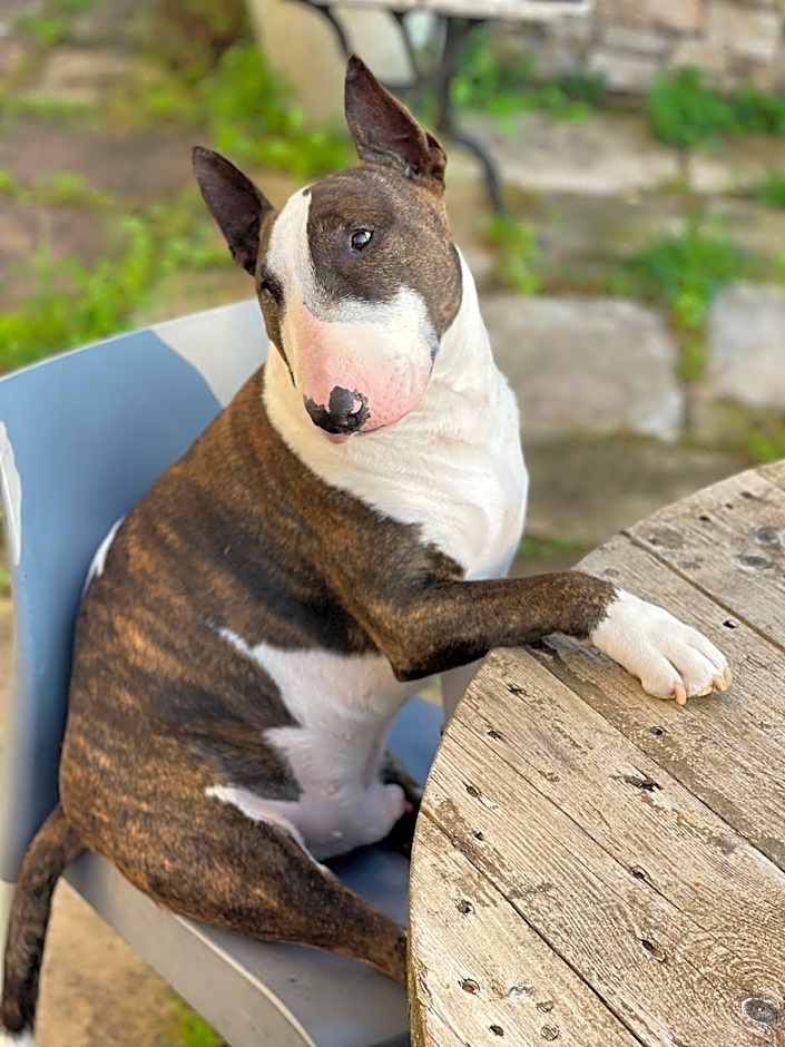 Chambres d'hôtes Kayros