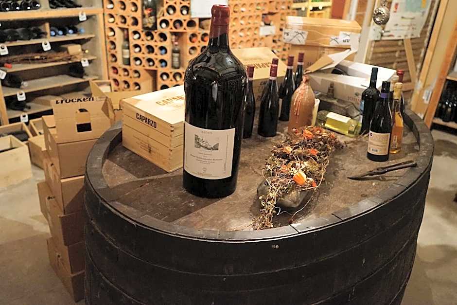 Ott's Hotel Weinwirtschaft & Biergarten Weil am Rhein/Basel