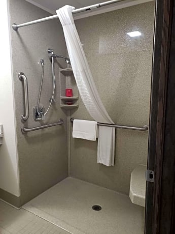 Accessible - 1 Queen, Mobility Accessible, Roll In Shower, Grab Bar