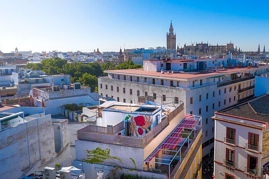 Black Swan Hostel Sevilla