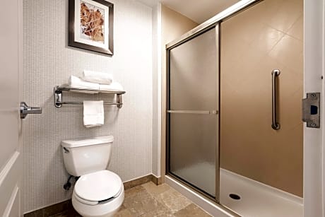 1 King Bed Studio With Sofabed