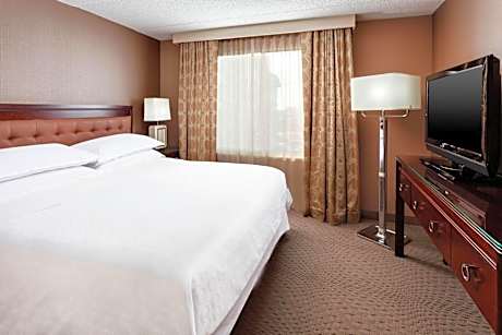 King Room with Roll-in Shower - Mobility Accessible