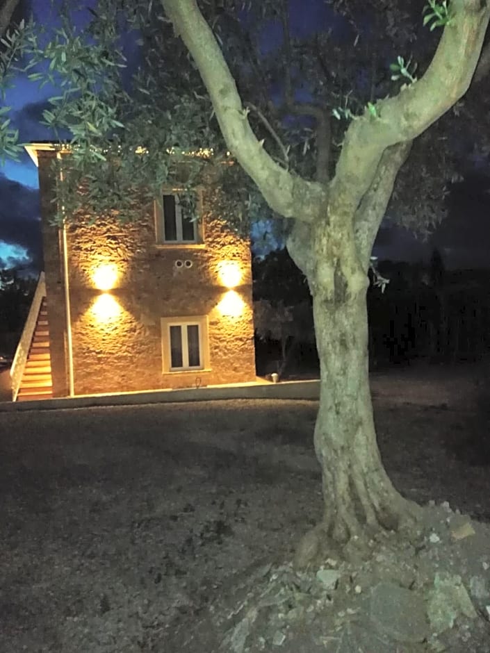 Santo's House