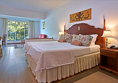 Double or Twin Deluxe Room with Garden View