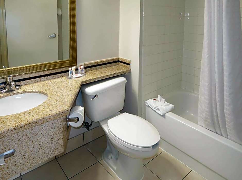 Comfort Inn Southwest Fwy at Westpark