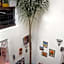 Hostel Kech Vibe