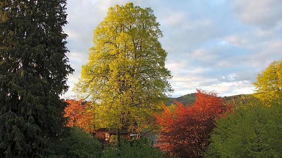 Hotel & Spezialitätenrestaurant zur Linde